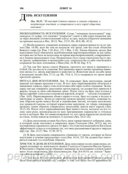 Библия с комментариями. Полноценная жизнь — изображение 16