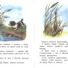 Первая охота. Виталий Бианки - Image 3