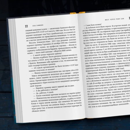 Мост через реку Сан. Холокост: пропущенная страница. Лев Симкин - Image 4