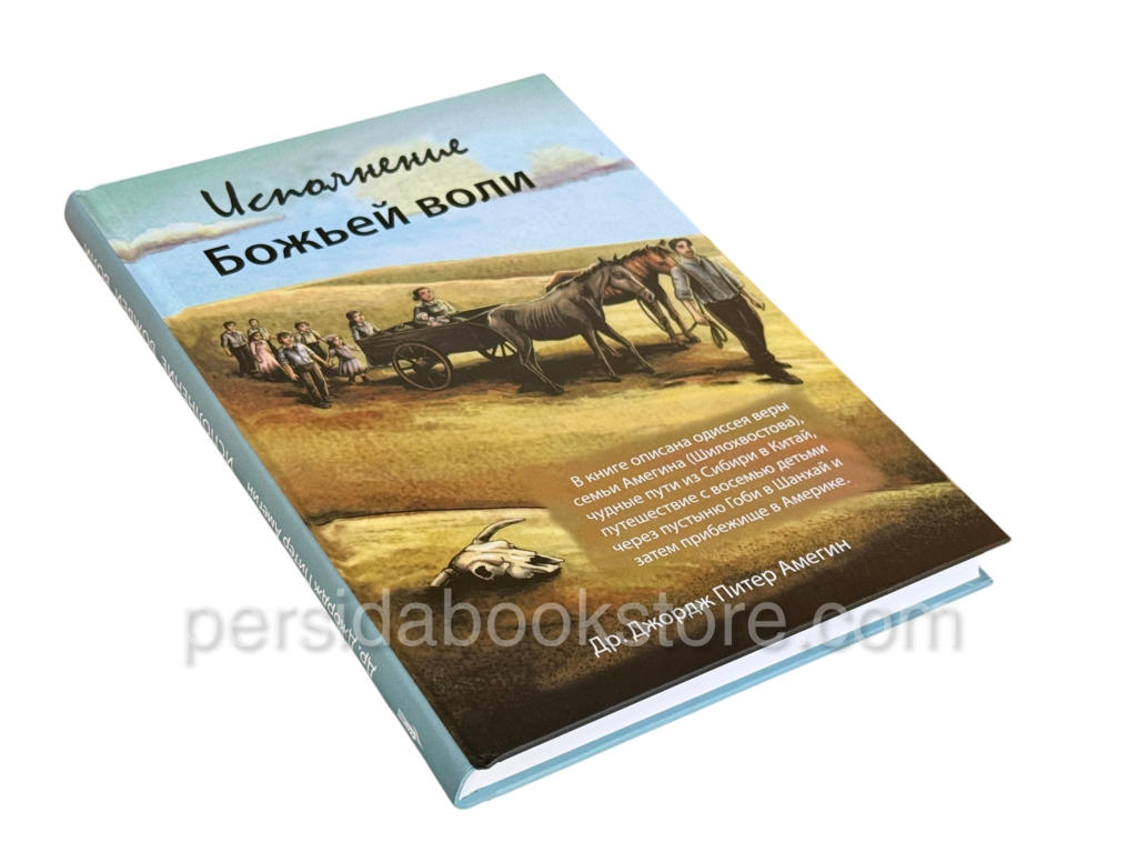 Исполнение Божьей воли. Джордж Питер Амегин - Image 2