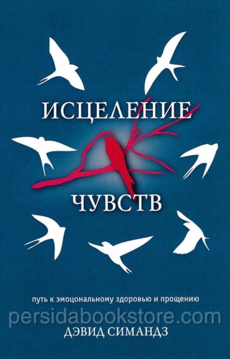 Исцеление чувств. Дэвид Симандз - Image 2