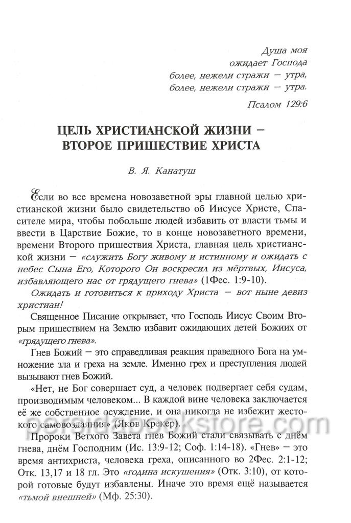 Признаки пришествия. Канатуш В. — изображение 8