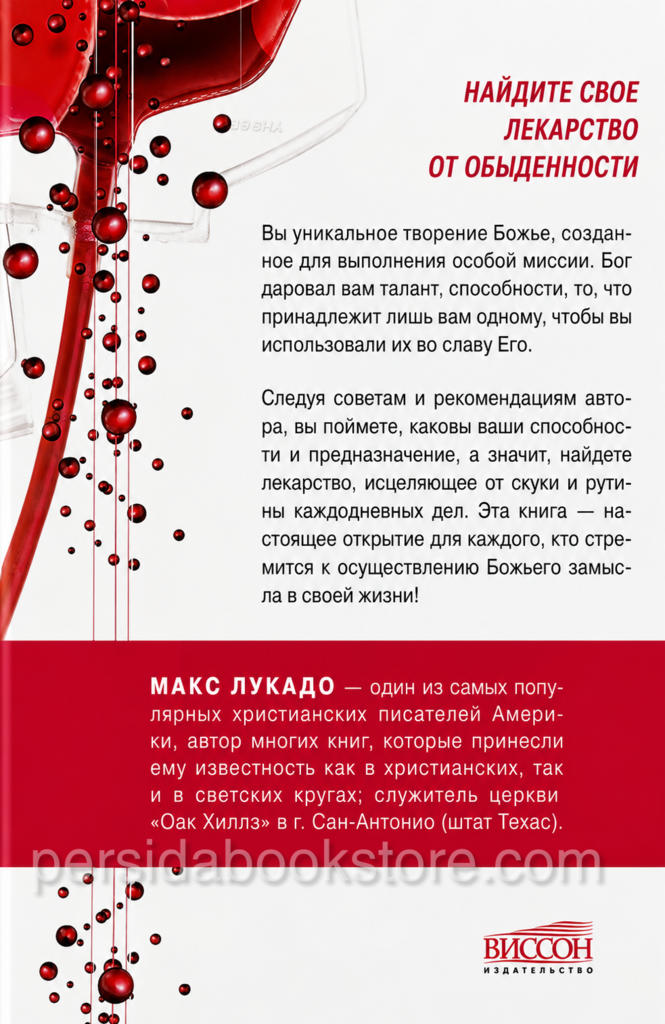 Лекарство от обыденности. Макс Лукадо - Image 7