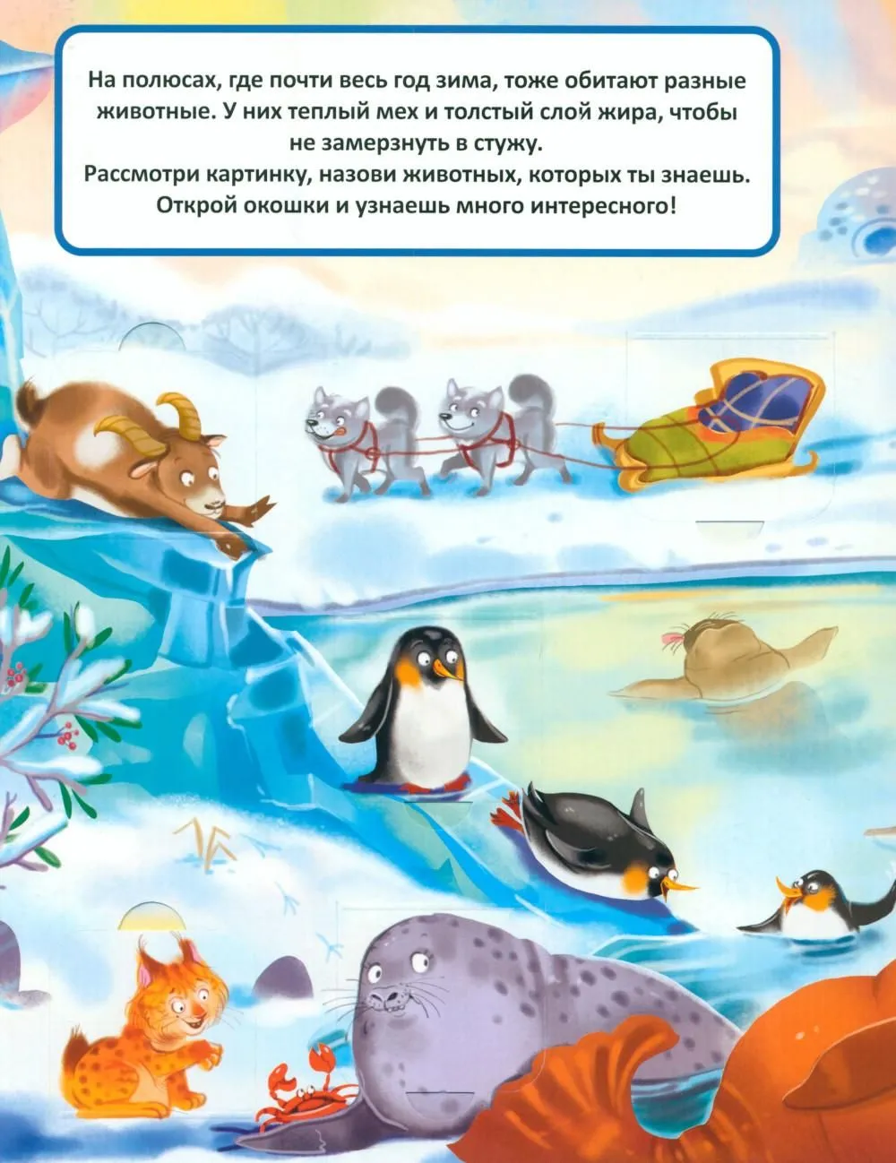 Эти забавные животные. 52 окошка. Книжка с окошками — изображение 4