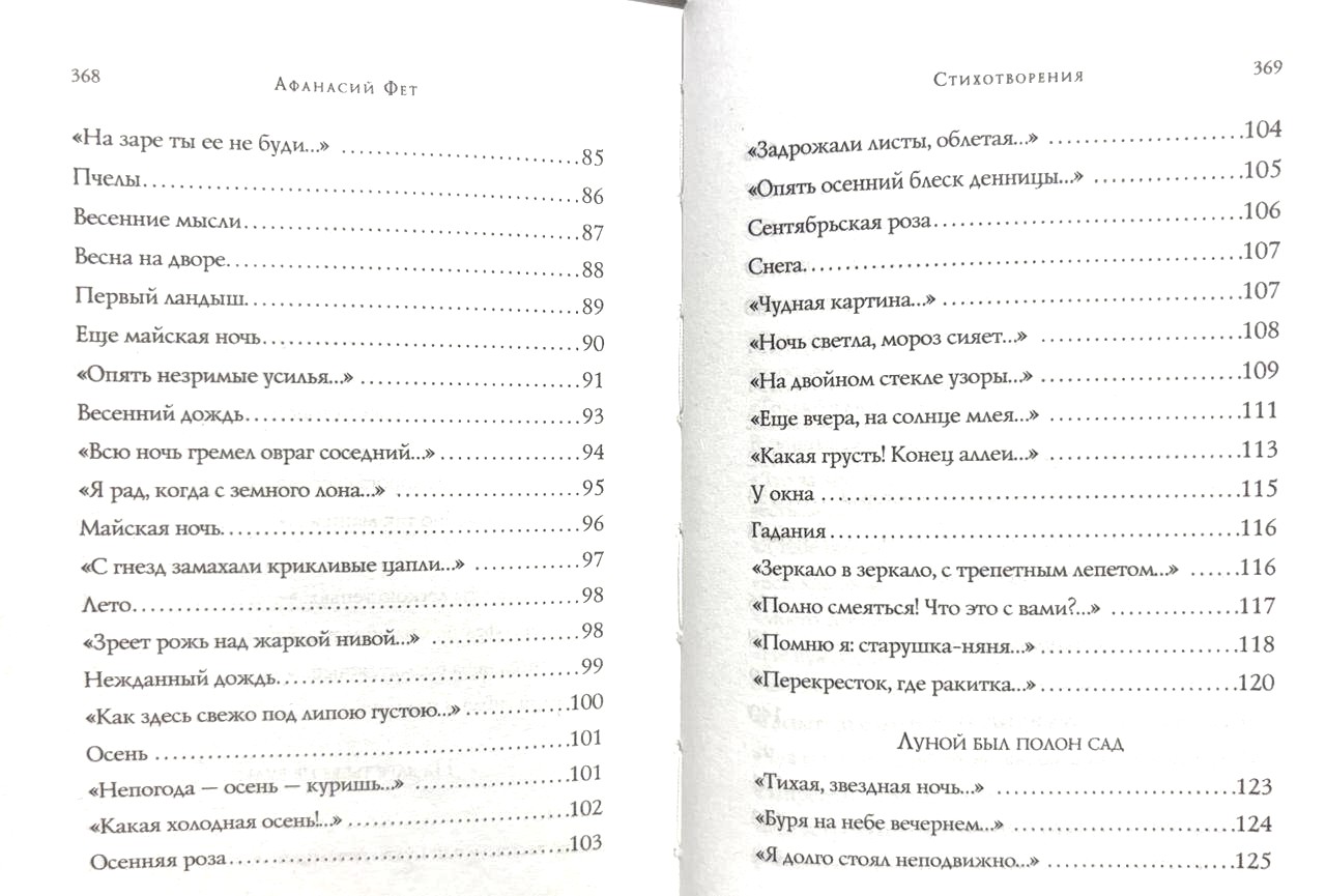 Стихотворения. Афанасий Фет - Image 5