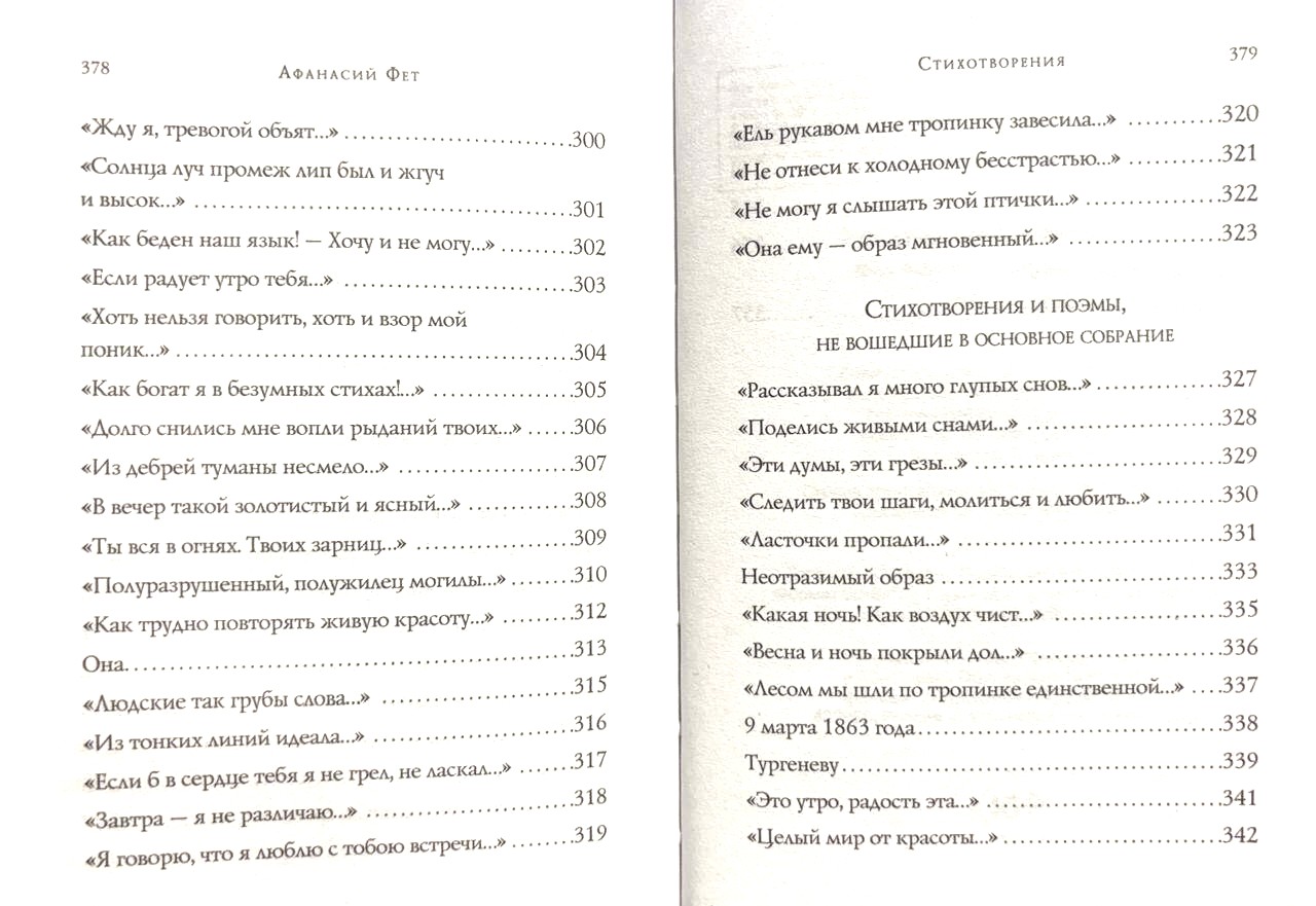 Стихотворения. Афанасий Фет - Image 10