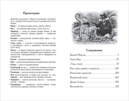 Маугли. Редьярд Киплинг - Image 2