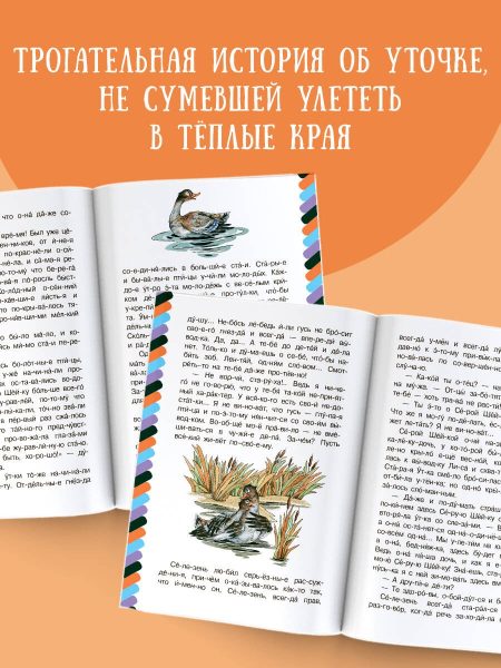 Серая Шейка. Мамин-Сибиряк Д. Н. - Image 3