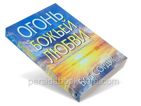 Огонь Божьей любви. Боб Сордж — изображение 3