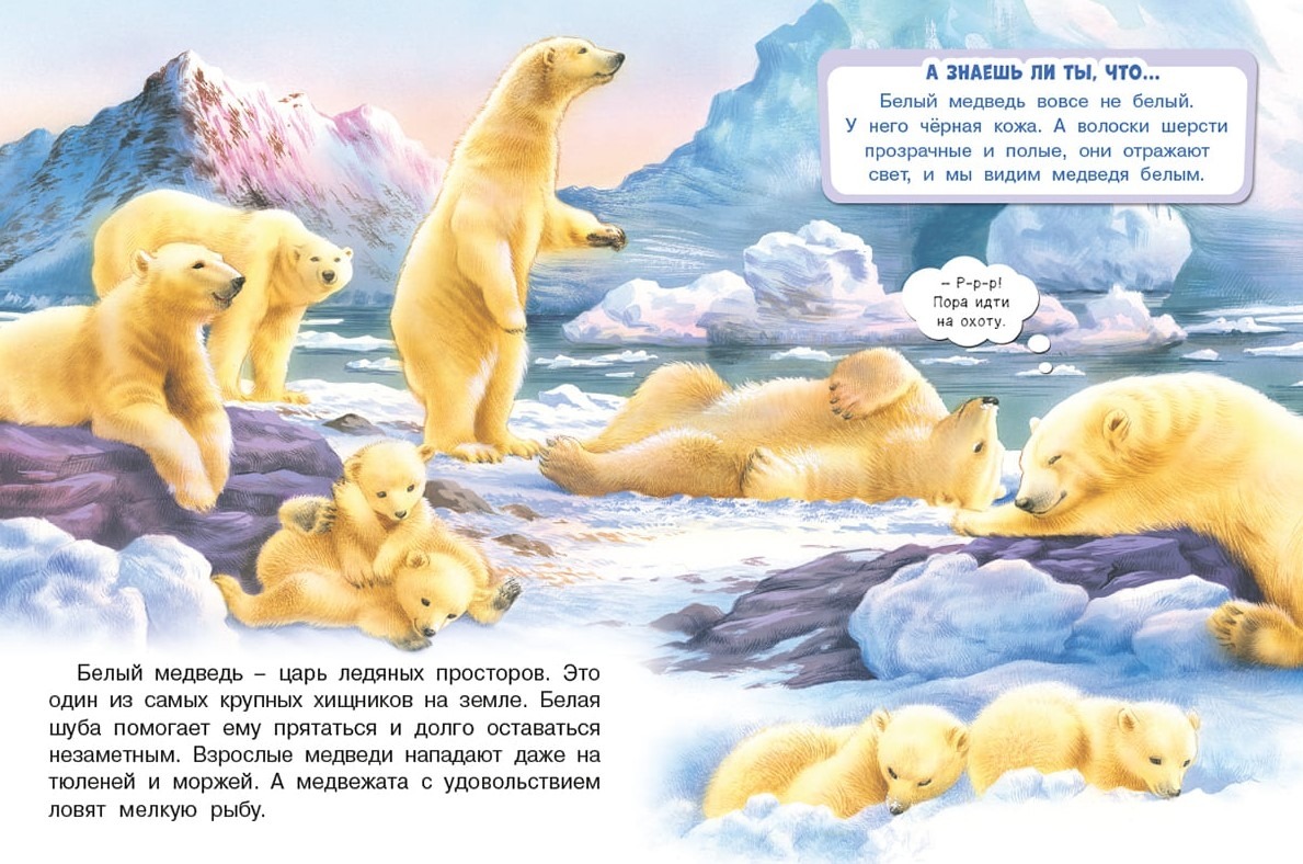 Обитатели льдов. Гурина Ирина — изображение 3