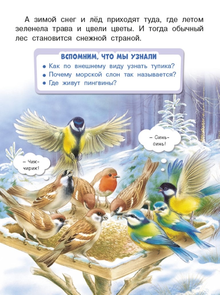 Обитатели льдов. Гурина Ирина — изображение 4