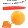 Умные карточки. Изучаем цвета. Раннее развитие - Image 4