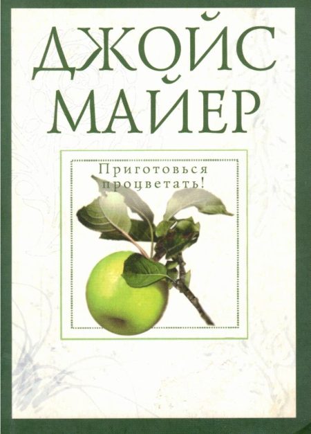 Приготовься процветать. Джойс Майер