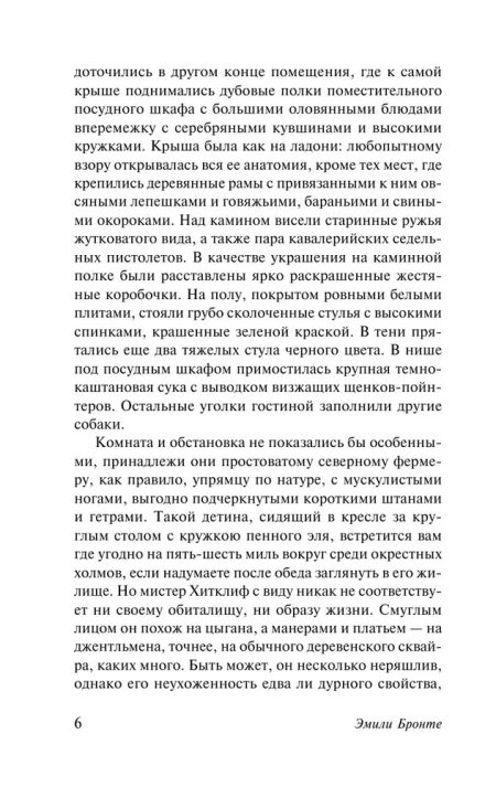 Грозовой перевал. Бронте Эмили - Image 7