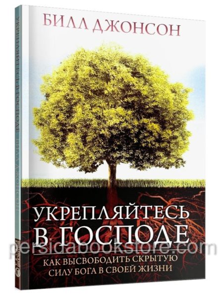 Укрепляйтесь в Господе. Билл Джонсон
