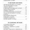 Урфин Джюс и его деревянные солдаты. Волков Александр - Image 5