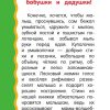 Купалочки-умывалочки. Дмитриева Валентина Геннадьевна - Image 5