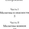 Спаси и сохрани. Молитвы для всех, кто в опасности - Image 2