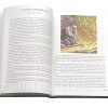 Библия для детей - Image 9