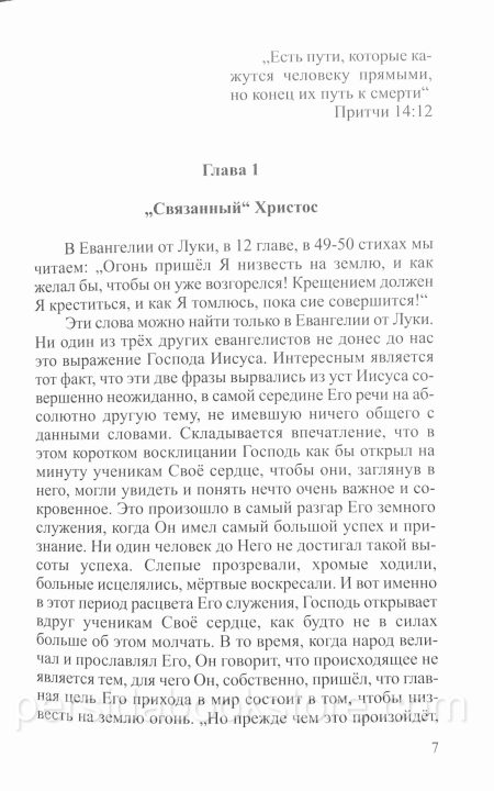 Время начаться суду с дома Божьего.  Людмила Плетт - Image 6