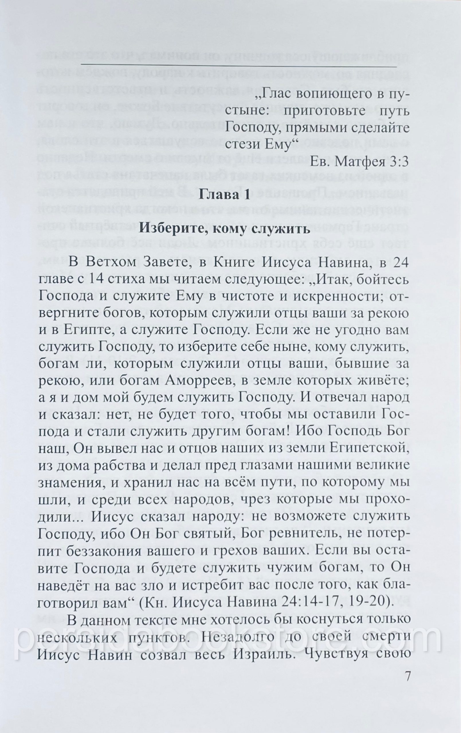 Глас вопиющего в пустыне. Людмила Плетт — ПЕРСИДА