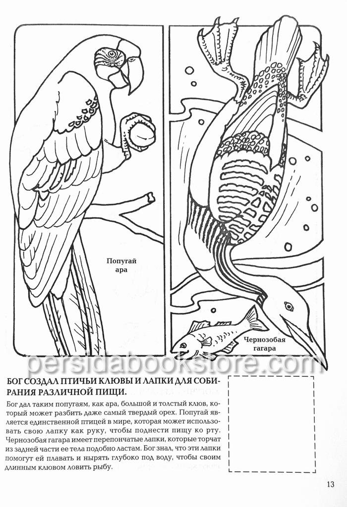 Бог сотворил птиц. Разукрашка с наклейками — изображение 5