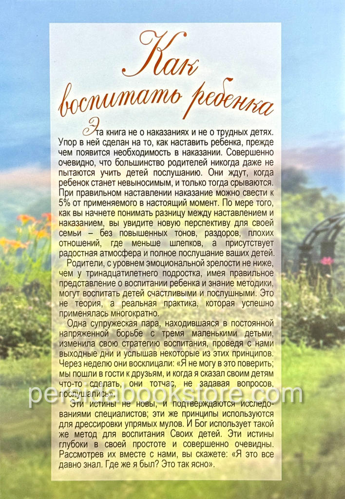 Как воспитать ребенка. Деби Перл — изображение 9