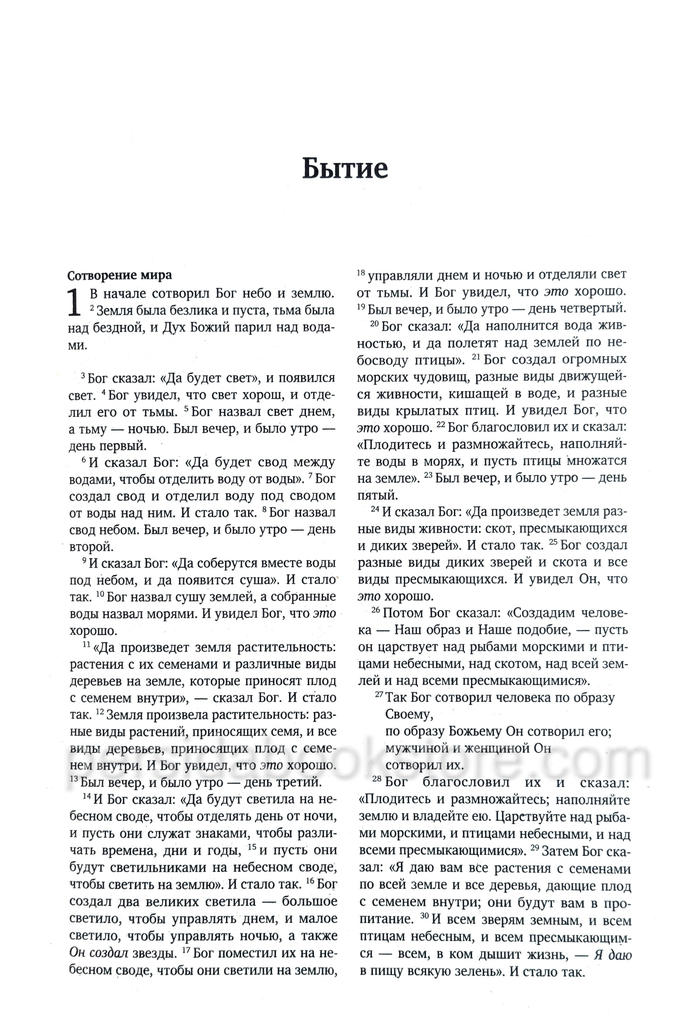 Библия. Новый русский перевод (НРП) — изображение 6