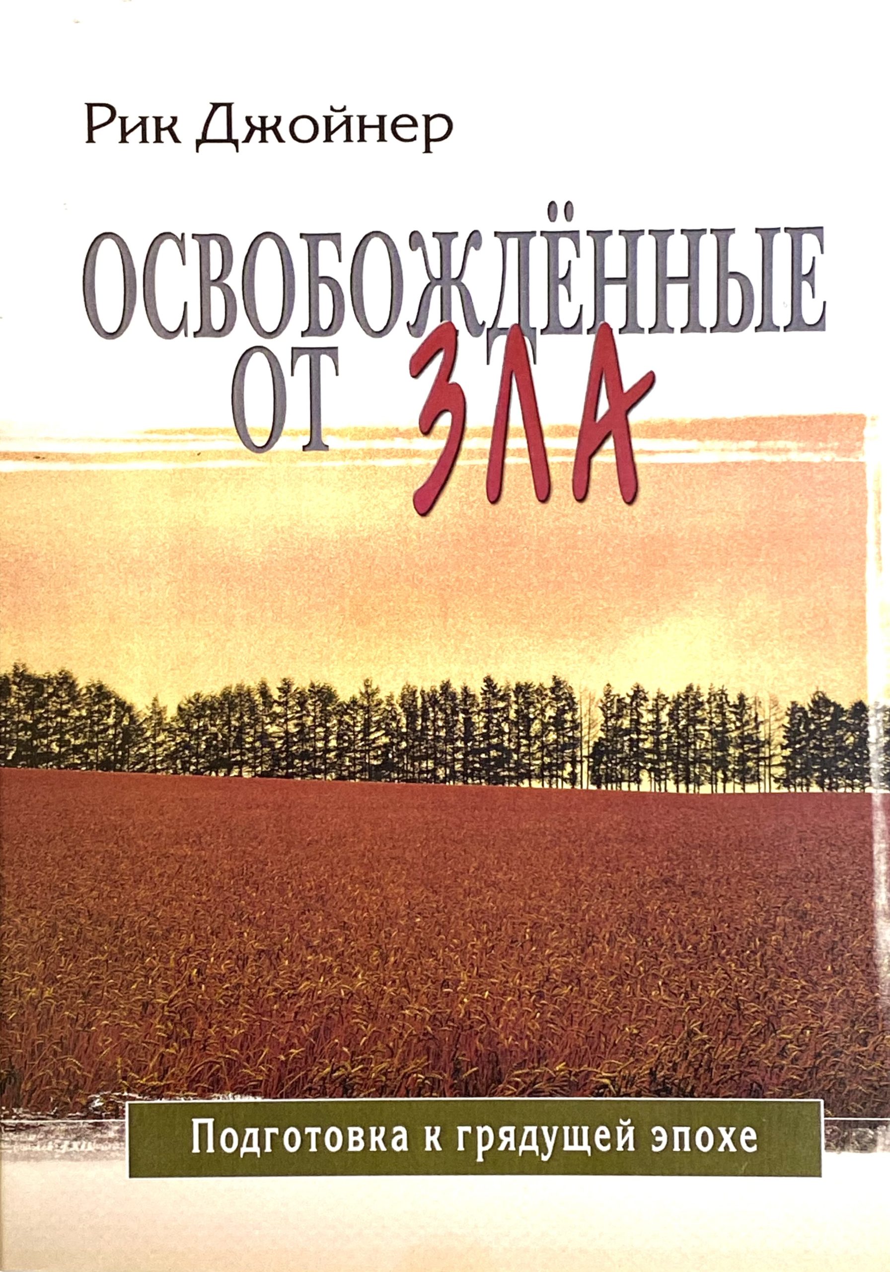 Рик Джойнер книги. Рик Джойнер Заблудшие овцы.