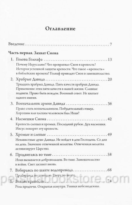 Открытая изнутри. Взятие крепости Сион. Боб Сордж — изображение 4