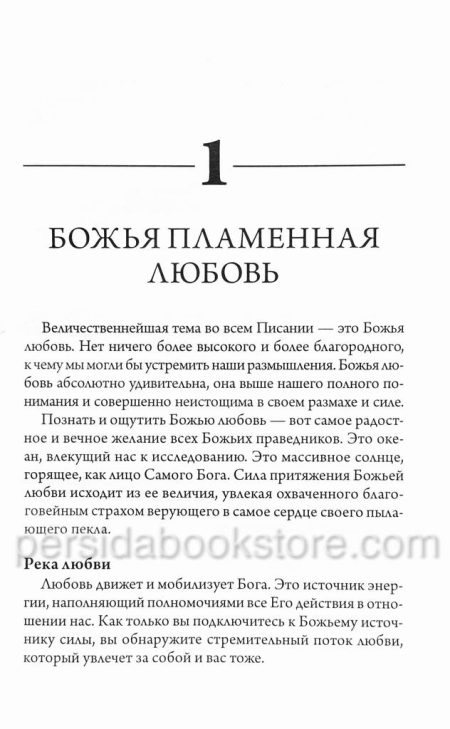 Огонь Божьей любви. Боб Сордж — изображение 6