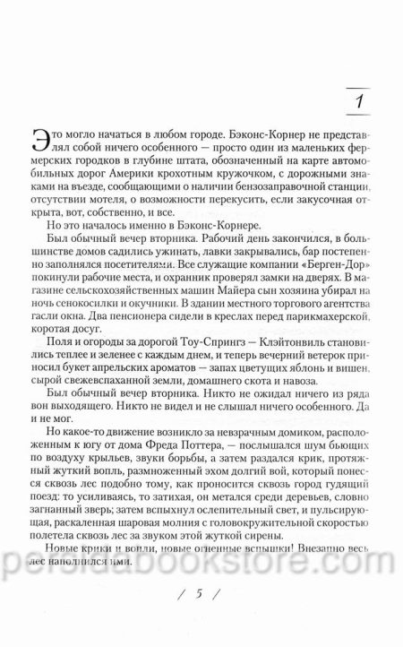 Пронзая тьму. Фрэнк Перетти - Image 4