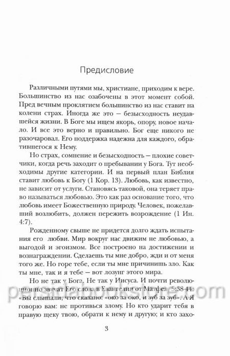 Испытание веры. Йоханнес Раймер - Image 4