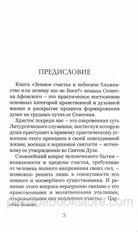 Земное счастье и небесное блаженство, или Почему мы не боги. Монах Симеон Афонский - Image 4