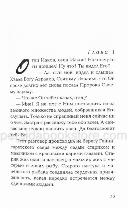 Мальчик-рыбак из Галилеи. Кристина Рой - Image 5