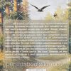 Совиное гнездо. Повесть - Image 5