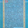 Безумием мнимым безумие мира обличившие. Блаженные старцы XIX-XX веков. - Image 7