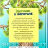 Зверушки в кормушке. Христианские рассказы для детей. Лысенко Н. - Image 4