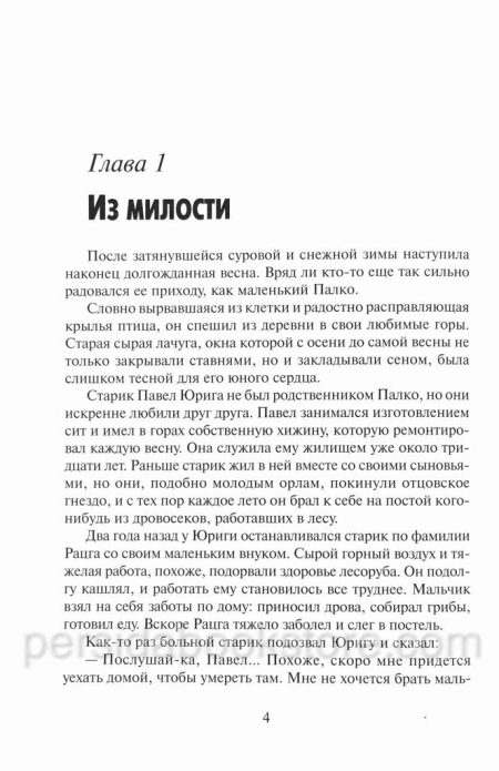 В стране солнца. Три друга. Кристина Рой - Image 5