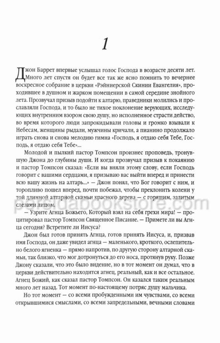Пророк. Фрэнк Перетти - Image 4