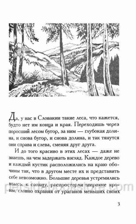 Вернулся домой. Кристина Рой - Image 4