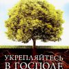 Укрепляйтесь в Господе. Билл Джонсон — изображение 2