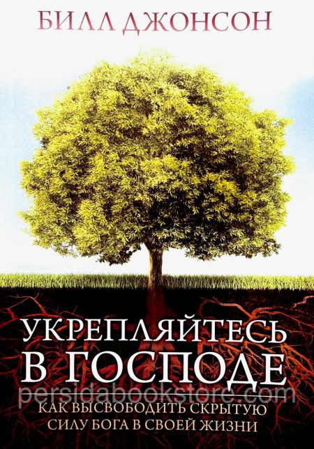 Укрепляйтесь в Господе. Билл Джонсон — изображение 2