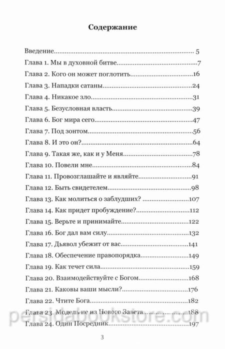 Власть верующего. Эндрю Уоммак — изображение 4