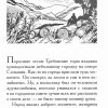 То, что пребывает вечно. Кристина Рой - Image 4