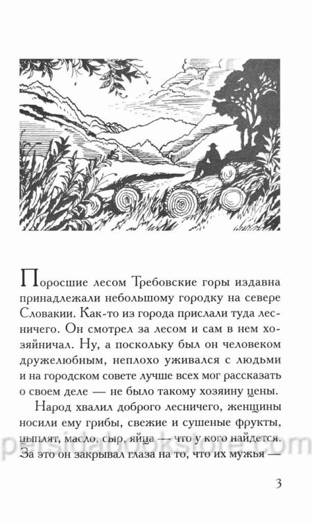 То, что пребывает вечно. Кристина Рой - Image 4