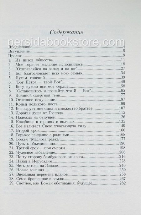 Человек с неба. Брат Юн - Image 4