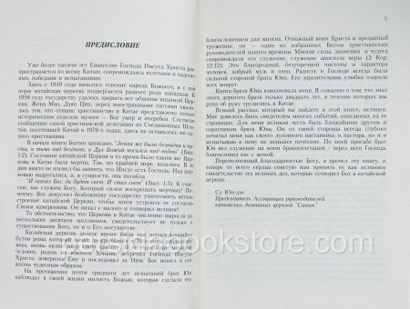Человек с неба. Брат Юн - Image 5