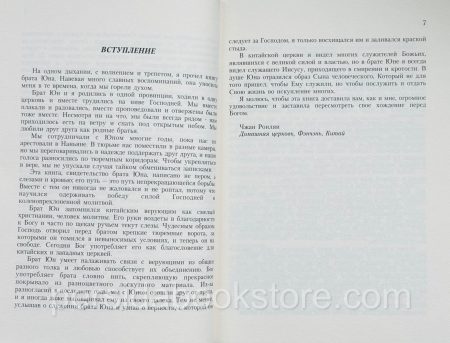 Человек с неба. Брат Юн - Image 6