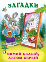 Загадки. Зимой белый, летом серый